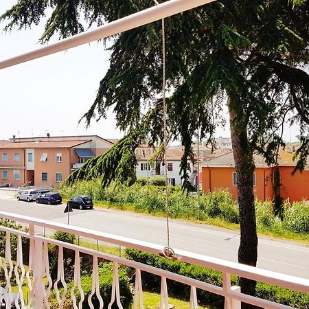 Apt. 7 - Villa Dei Pini อาเมเกลีย ภายนอก รูปภาพ